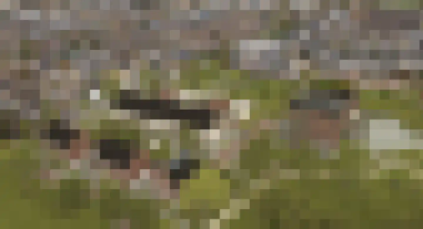 Kreekrug 12 Sint Philipsland thumbnail 7