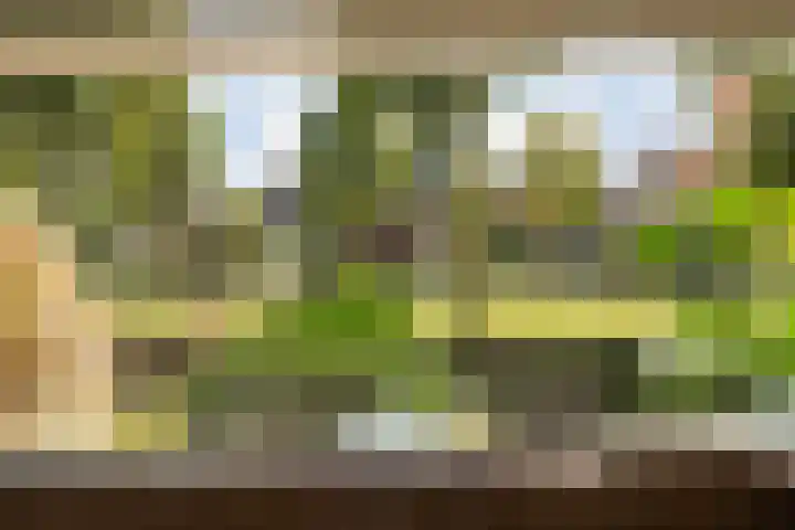 Kreekrug 3 Kampen thumbnail 12