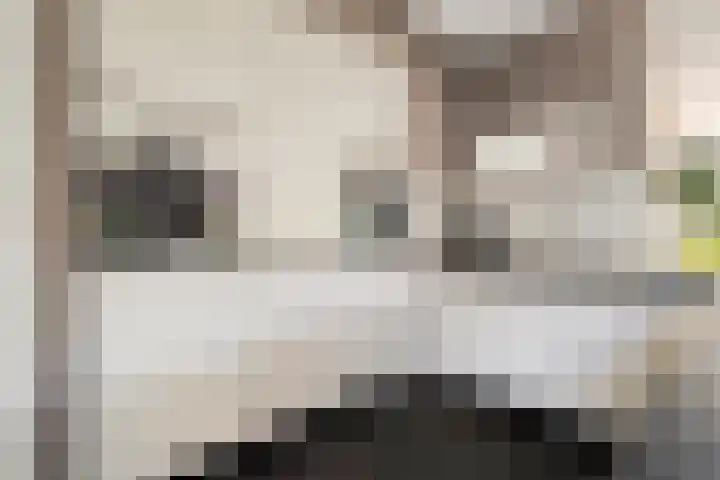 Kreekrug 3 Kampen thumbnail 15