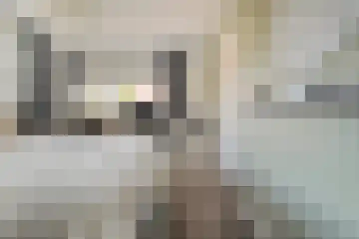 Kreekrug 3 Kampen thumbnail 29