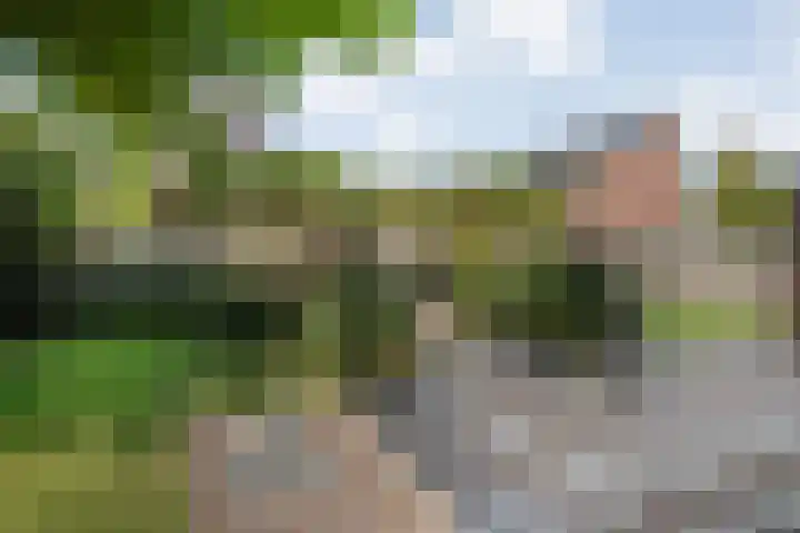 Kreekrug 3 Kampen thumbnail 38