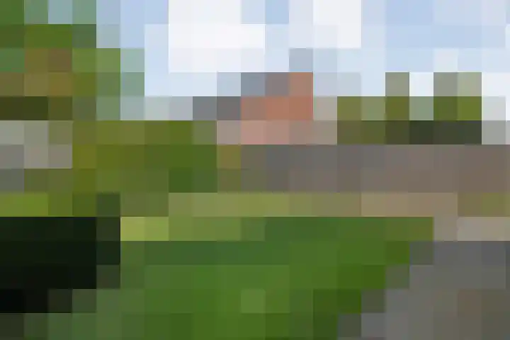 Kreekrug 3 Kampen thumbnail 40