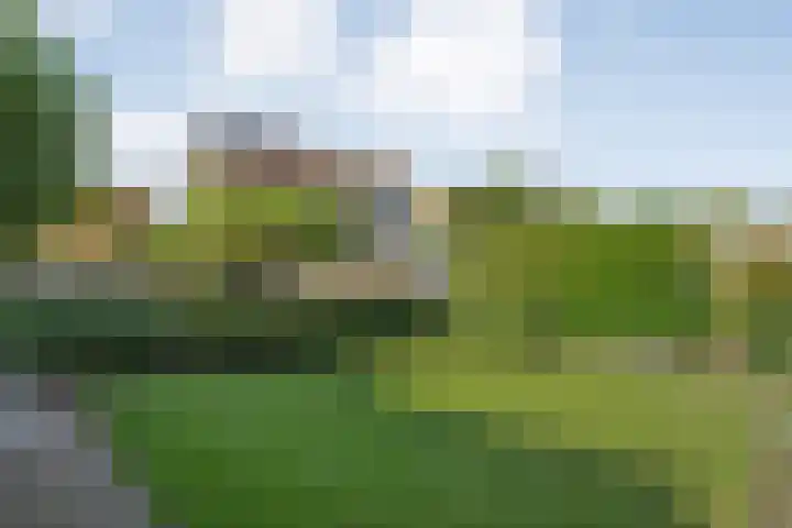 Kreekrug 3 Kampen thumbnail 41