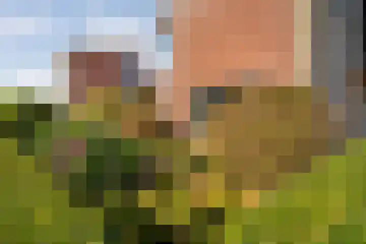Kreekrug 3 Kampen thumbnail 43