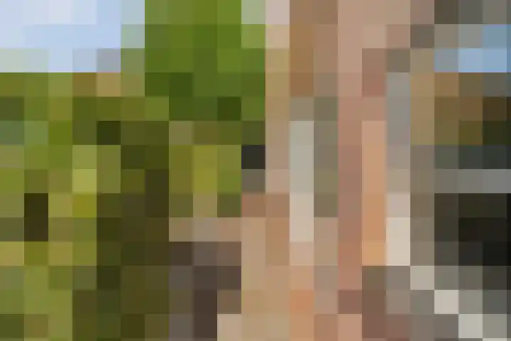Kreekrug 3 Kampen thumbnail 44