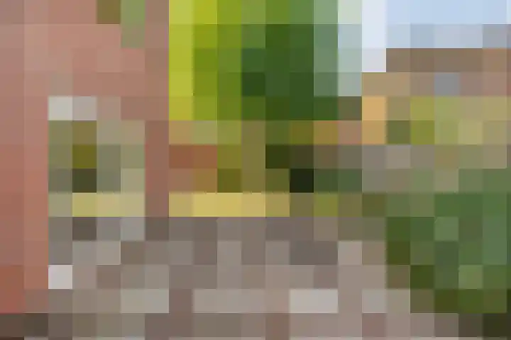 Kreekrug 3 Kampen thumbnail 45