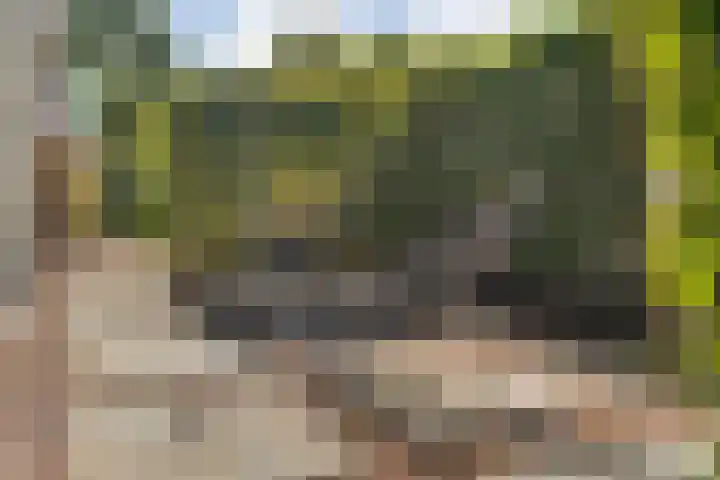 Kreekrug 3 Kampen thumbnail 46