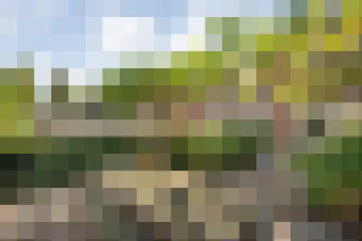 Kreekrug 3 Kampen thumbnail 47