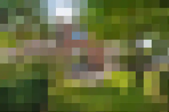 Kreekrug 3 Kampen thumbnail 48