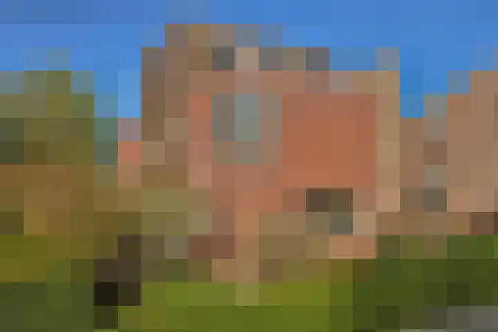 Kreekrug 3 Kampen thumbnail 49