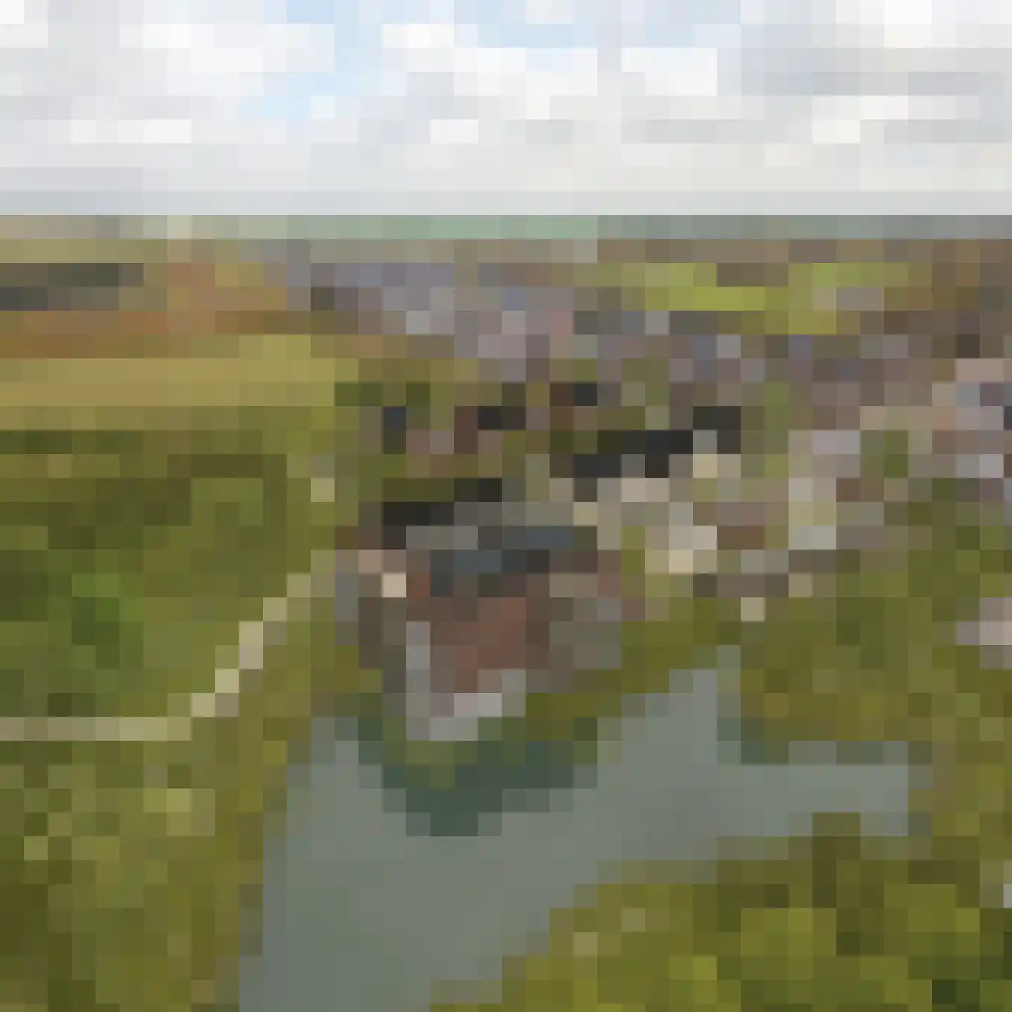Kreekrug 3 Sint Philipsland thumbnail 6