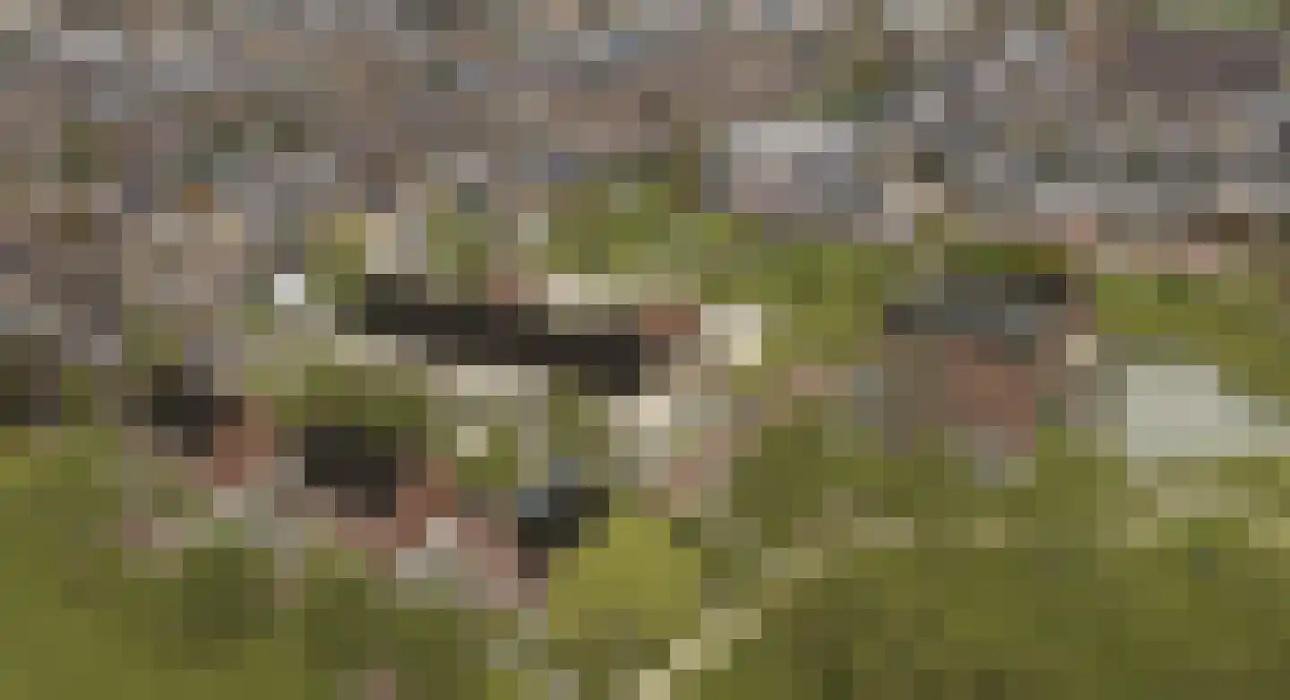 Kreekrug 3 Sint Philipsland thumbnail 7