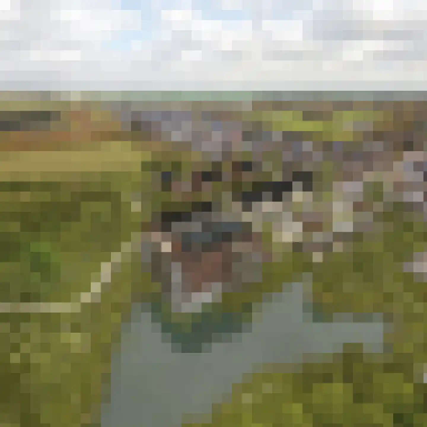 Kreekrug 4 Sint Philipsland thumbnail 6