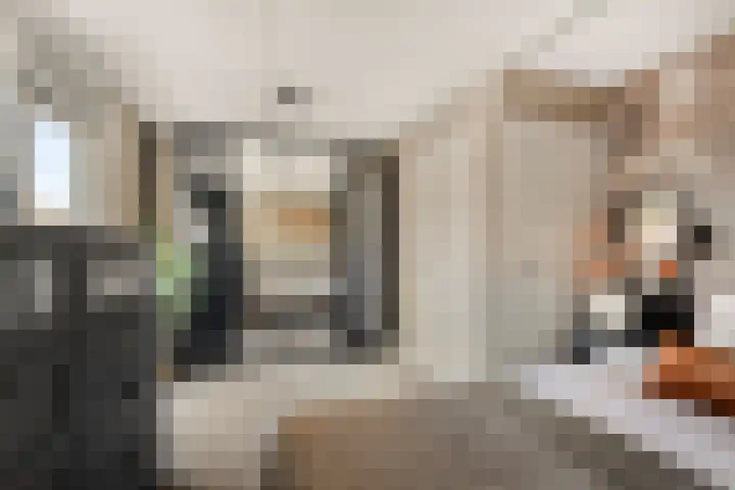 Kreekstraat 1 's-Gravendeel thumbnail 26