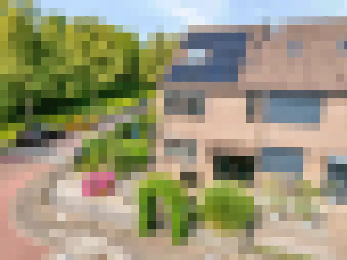 Kreekstraat 1 's-Gravendeel thumbnail 4