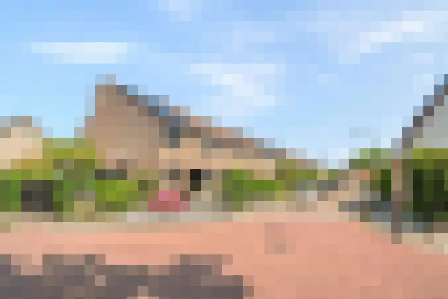 Kreekstraat 1 's-Gravendeel thumbnail 52