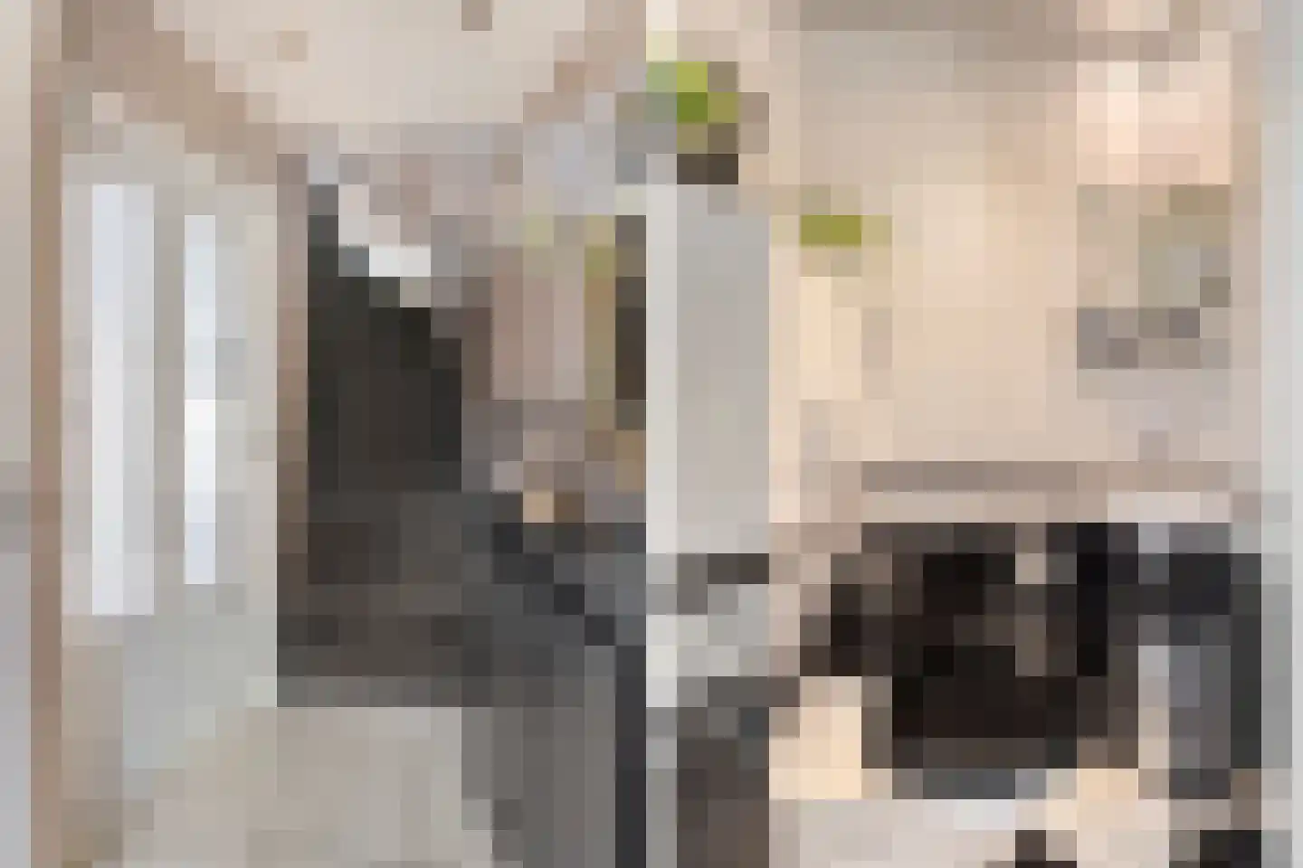 Kreekstraat 1 's-Gravendeel thumbnail 8