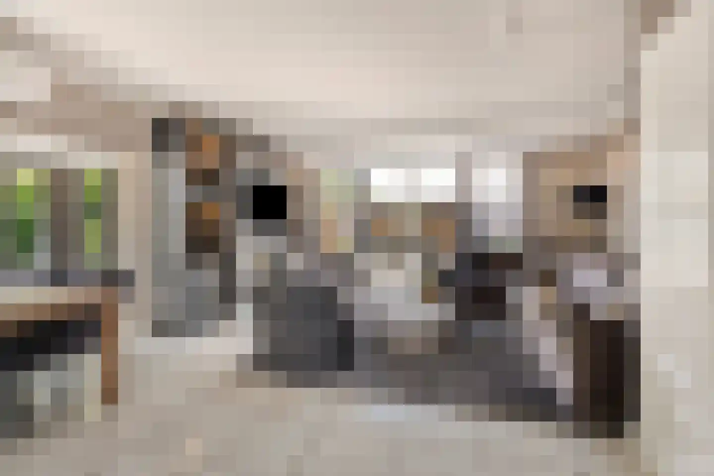 Kreekstraat 1 's-Gravendeel thumbnail 9