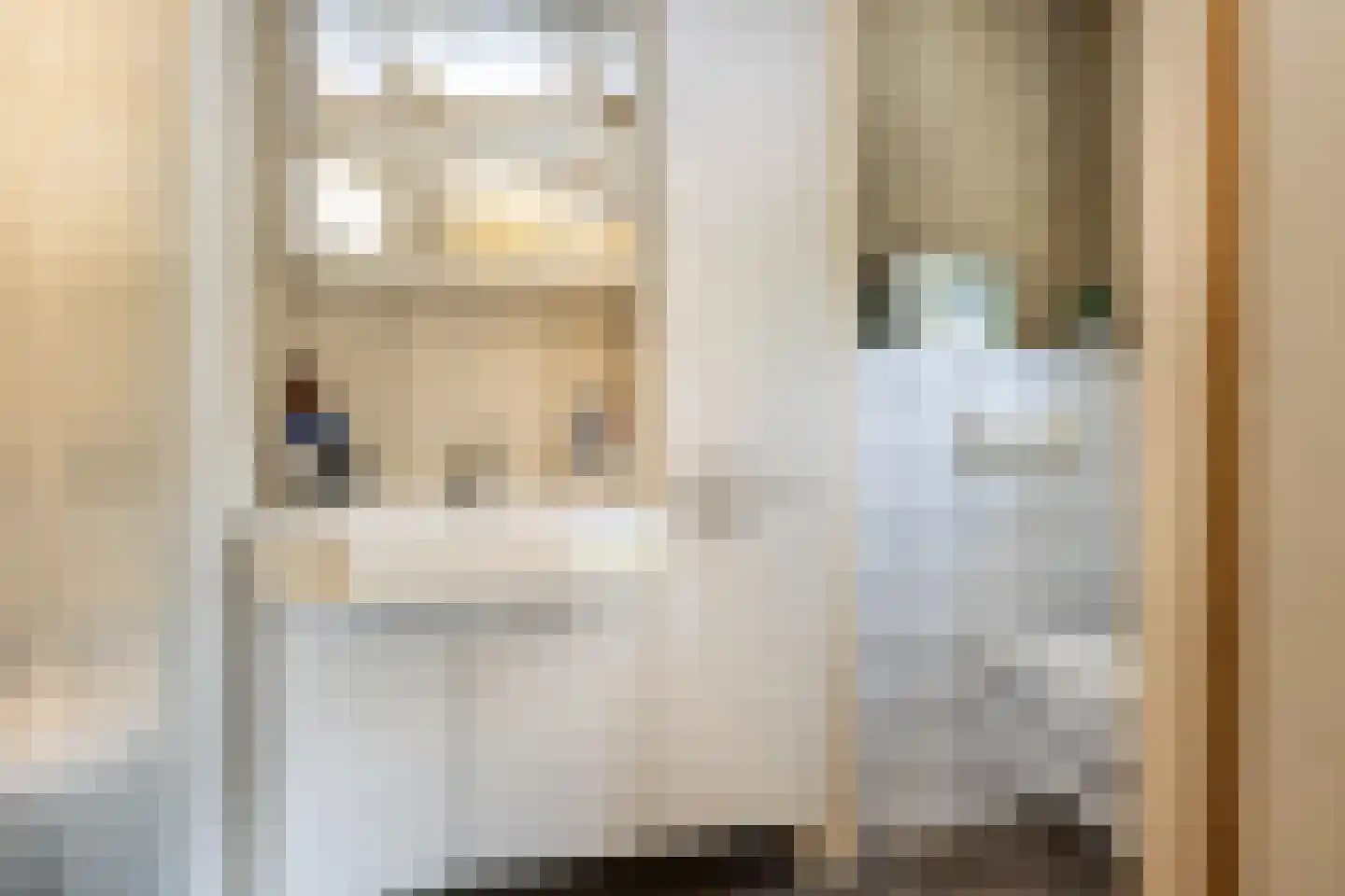 Kreekstraat 13 Sommelsdijk thumbnail 14