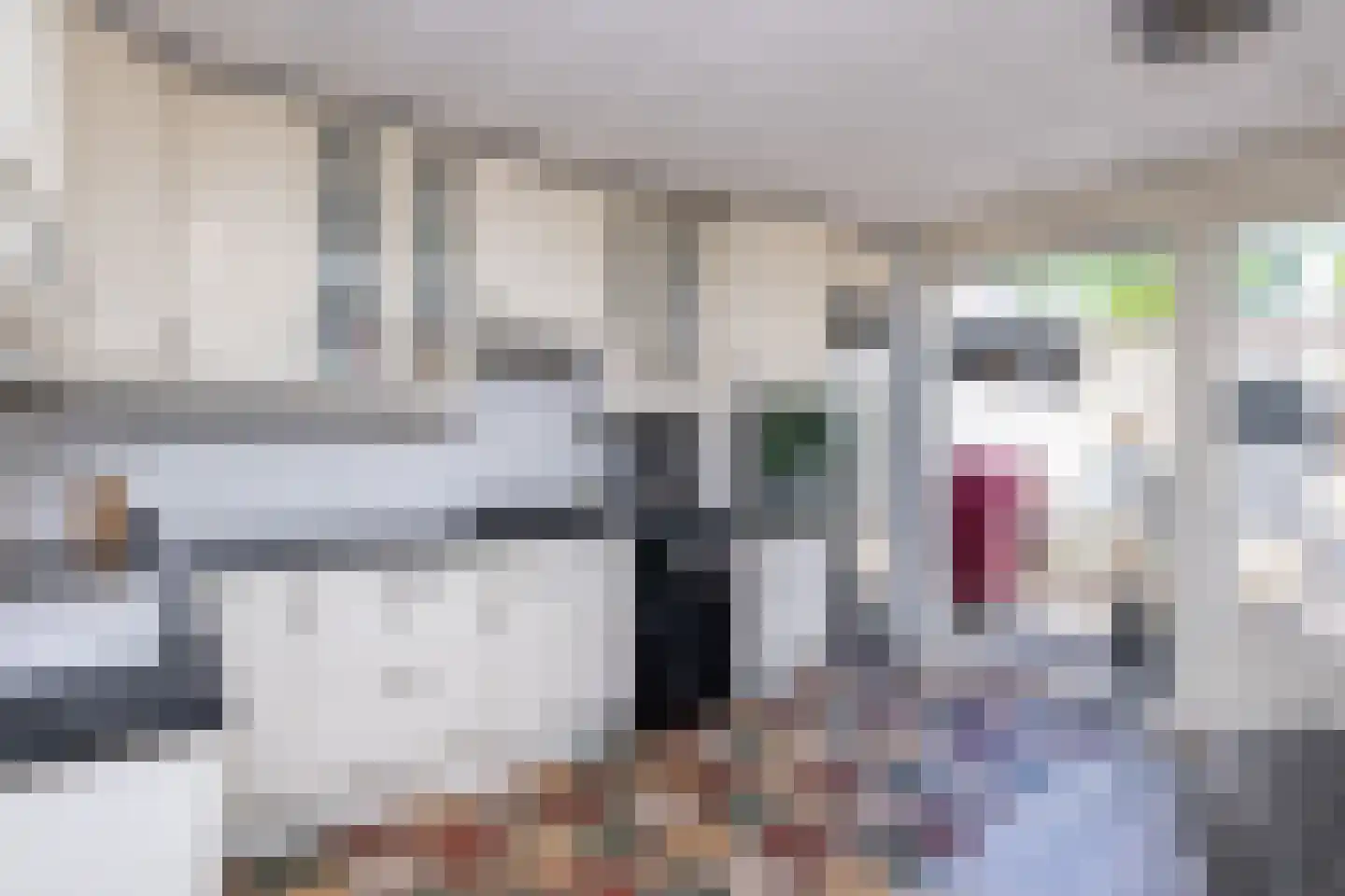 Kreekstraat 15 Sommelsdijk thumbnail 11