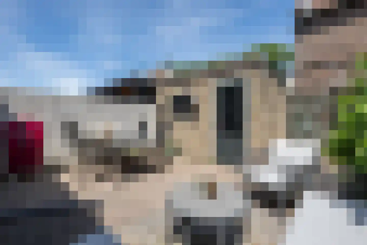 Kreekstraat 15 Sommelsdijk thumbnail 22