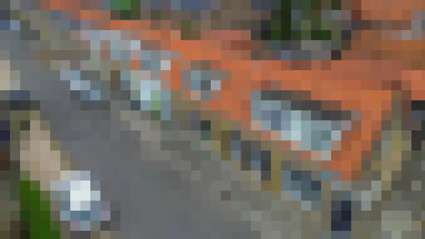 Kreekstraat 27 Sommelsdijk thumbnail 30