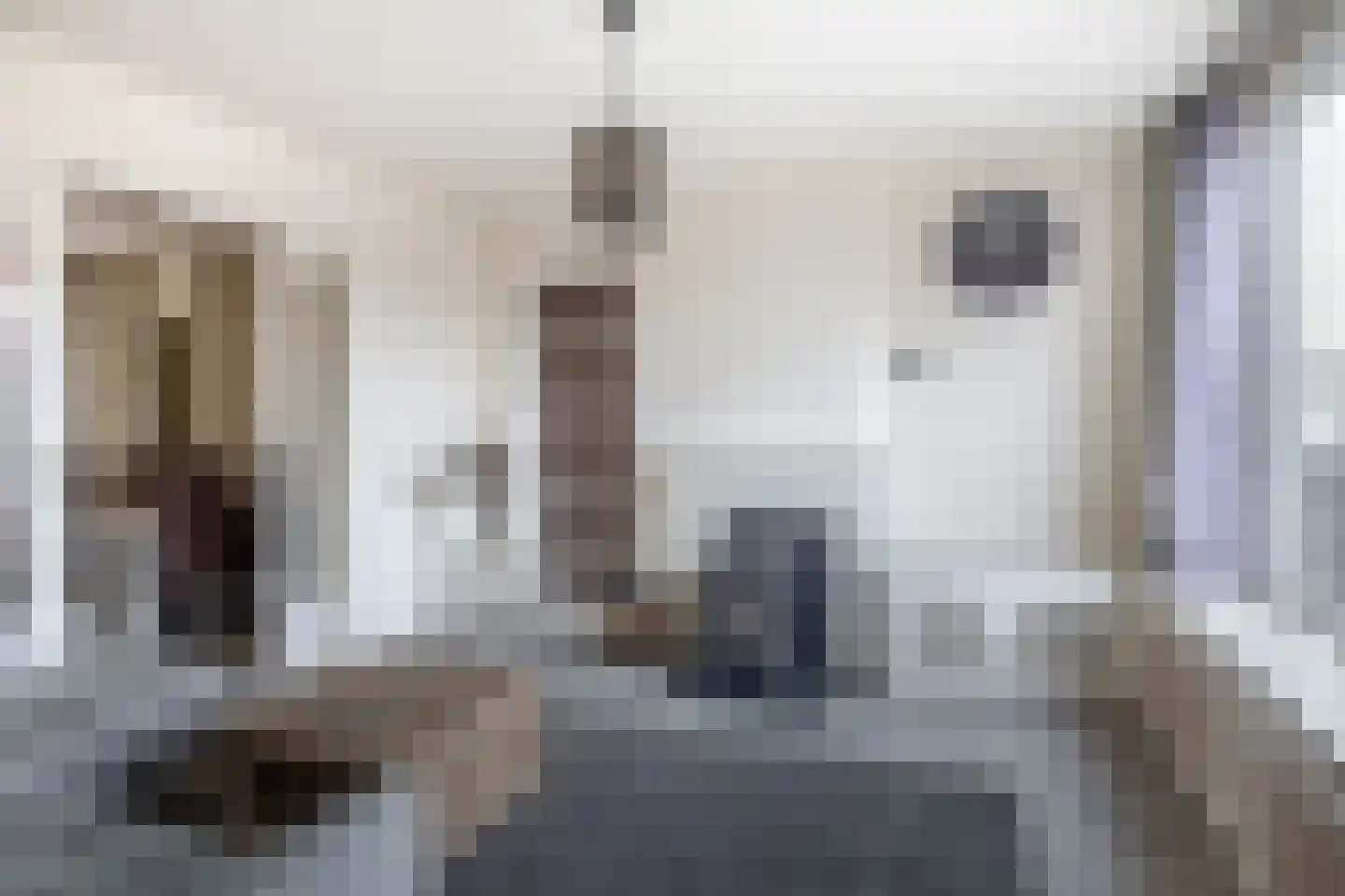 Kreekstraat 27 Sommelsdijk thumbnail 9