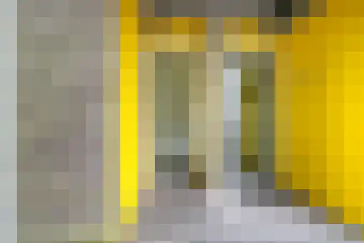 Kreekwaard 13 Alkmaar thumbnail 10
