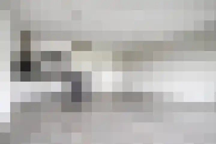 Kreekwaard 13 Alkmaar thumbnail 12