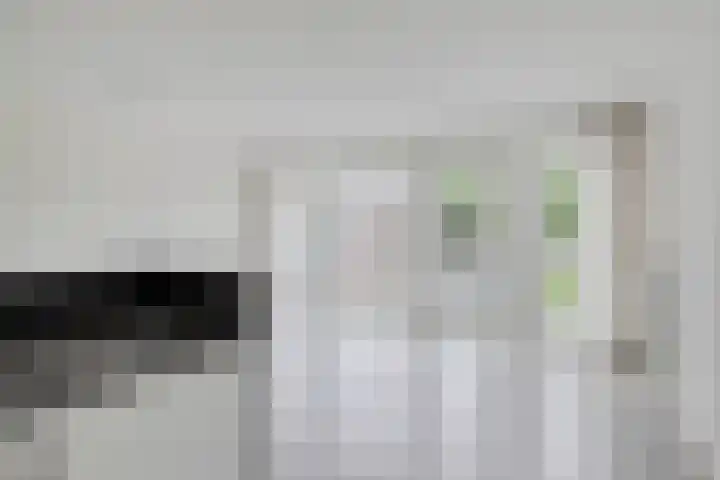 Kreekwaard 13 Alkmaar thumbnail 13