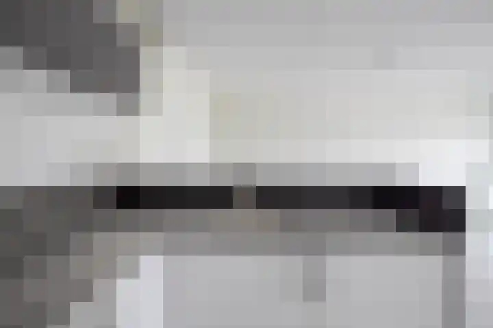 Kreekwaard 13 Alkmaar thumbnail 14