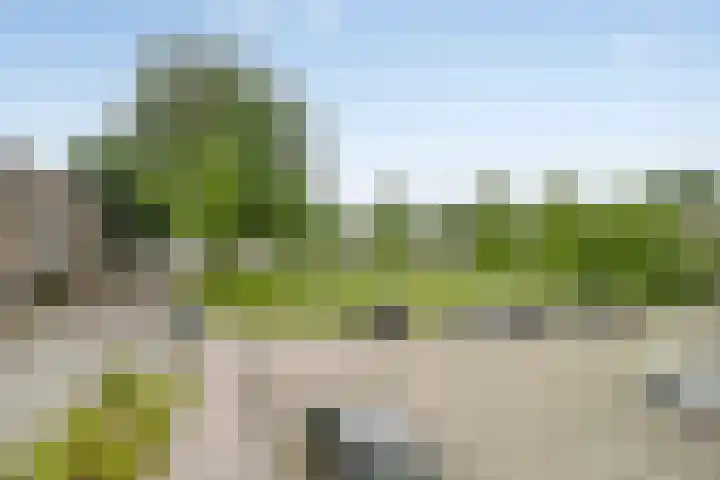 Kreekwaard 13 Alkmaar thumbnail 19