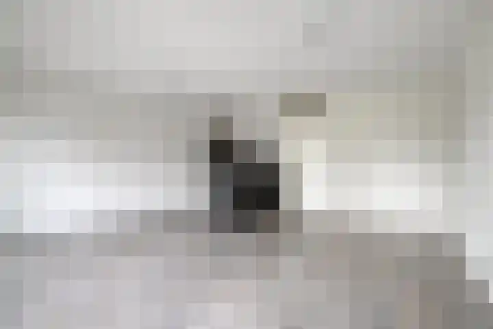Kreekwaard 13 Alkmaar thumbnail 4