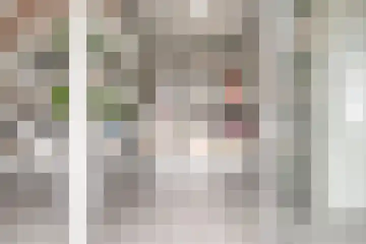 Kreekwaard 13 Alkmaar thumbnail 8