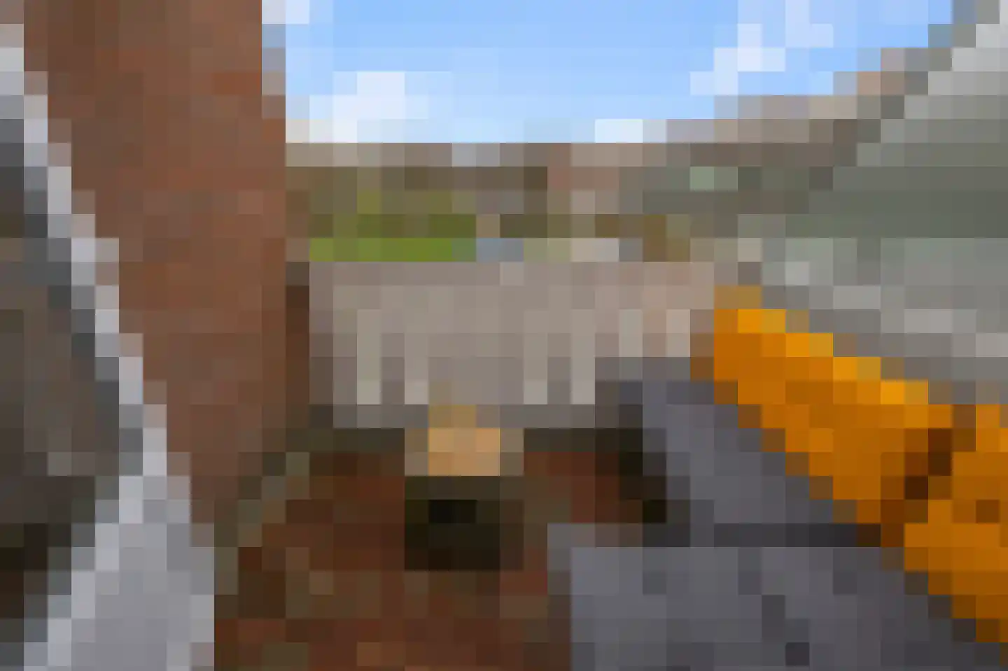 Kreekwaard 14 Alkmaar thumbnail 19