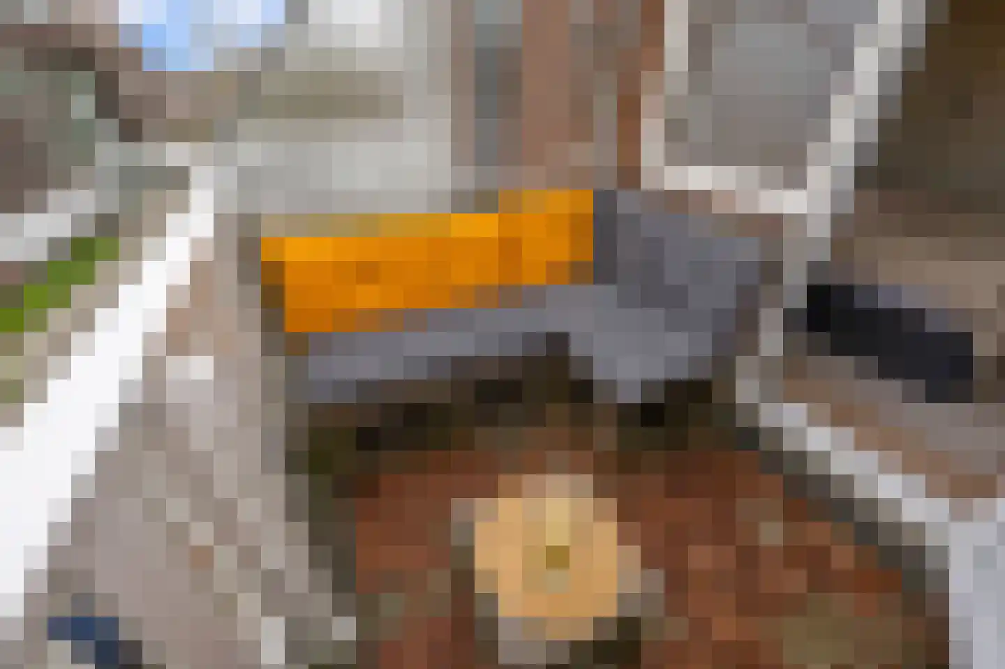 Kreekwaard 14 Alkmaar thumbnail 20