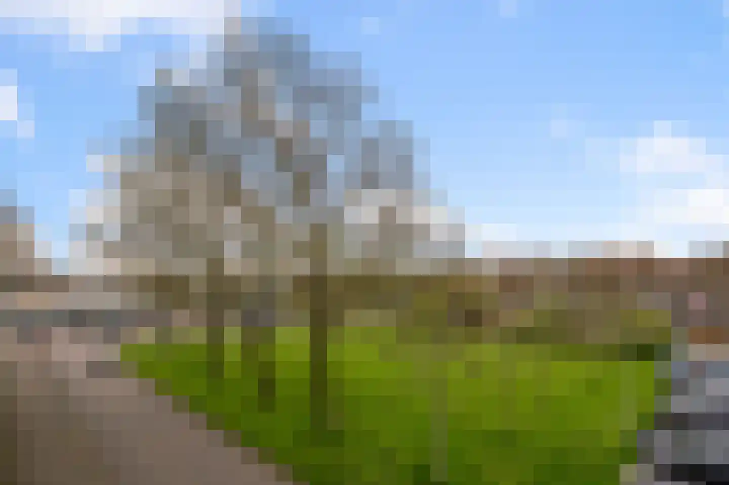 Kreekwaard 14 Alkmaar thumbnail 26