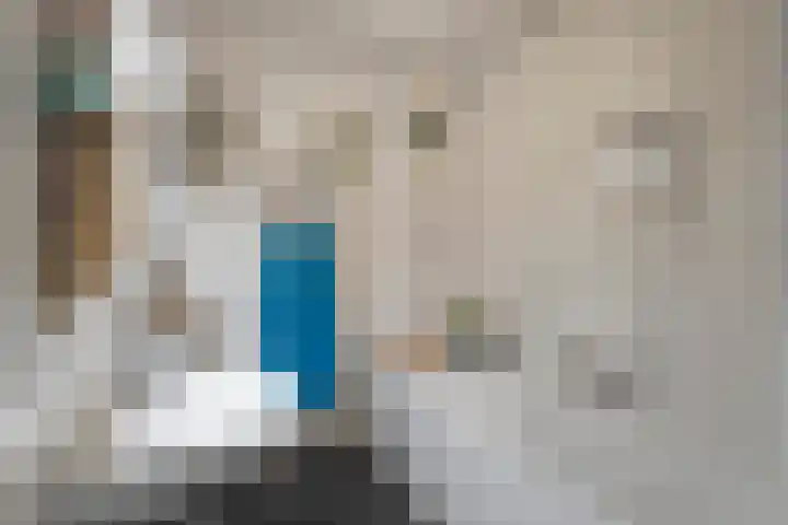 Kreekwaard 17 Alkmaar thumbnail 14