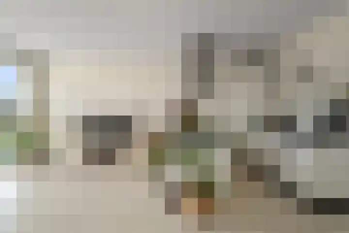 Kreekwaard 17 Alkmaar thumbnail 15