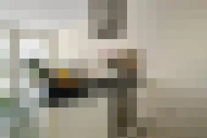 Kreekwaard 17 Alkmaar thumbnail 16