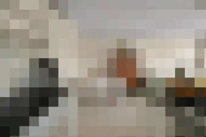 Kreekwaard 17 Alkmaar thumbnail 17