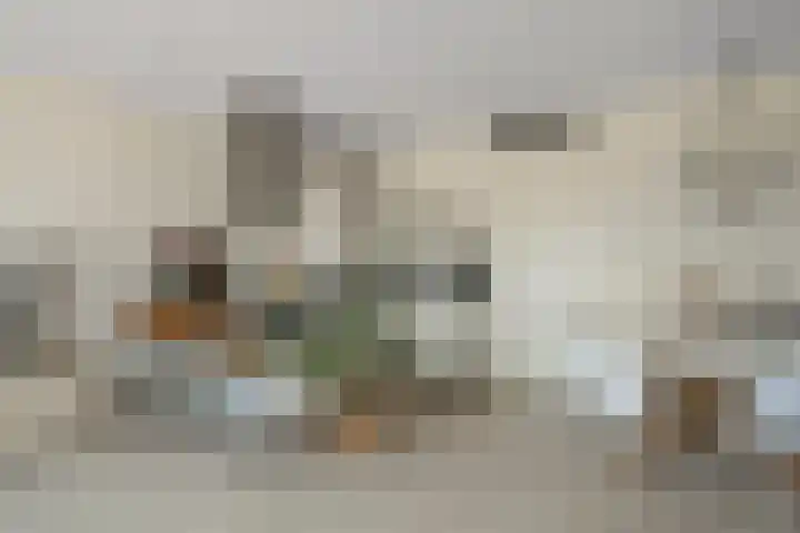 Kreekwaard 17 Alkmaar thumbnail 18