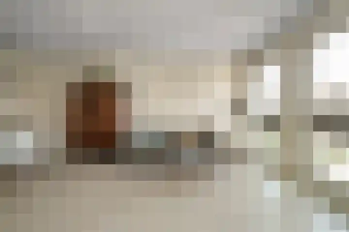 Kreekwaard 17 Alkmaar thumbnail 20