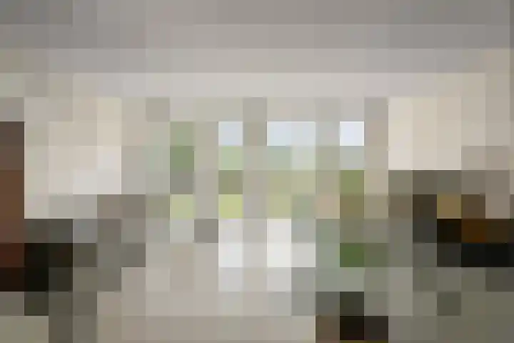 Kreekwaard 17 Alkmaar thumbnail 21