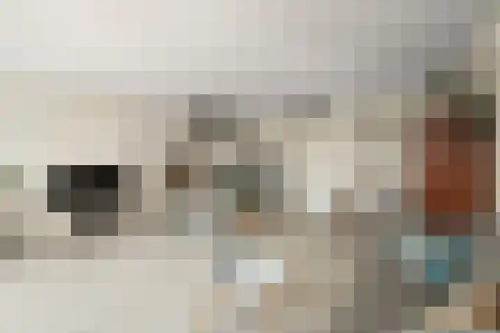 Kreekwaard 17 Alkmaar thumbnail 22