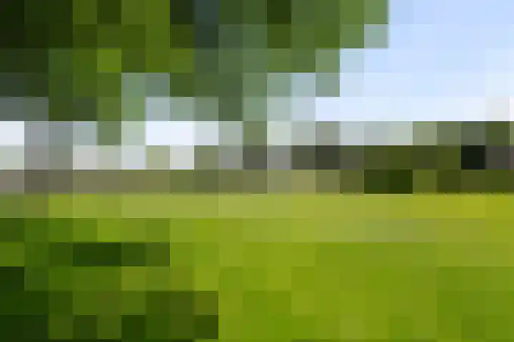 Kreekwaard 17 Alkmaar thumbnail 24