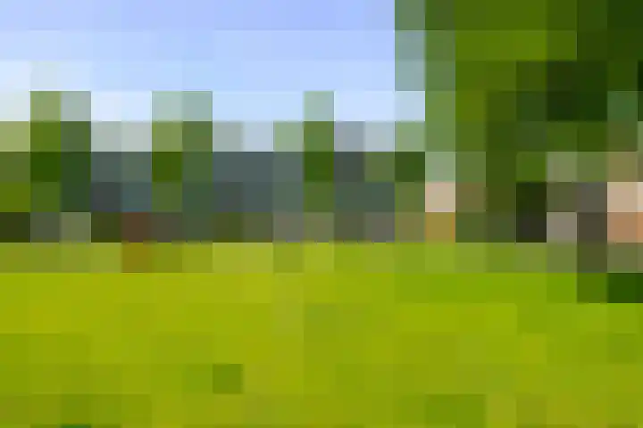 Kreekwaard 17 Alkmaar thumbnail 25