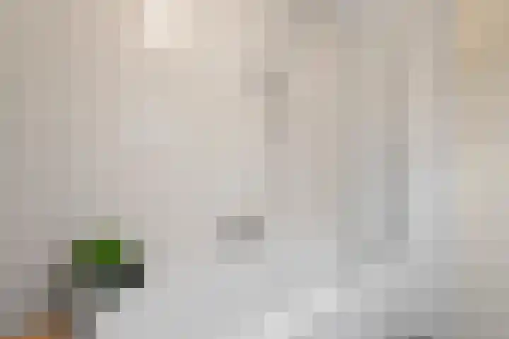 Kreekwaard 17 Alkmaar thumbnail 4