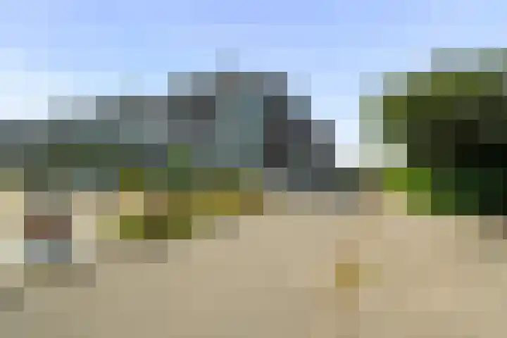 Kreekwaard 17 Alkmaar thumbnail 5