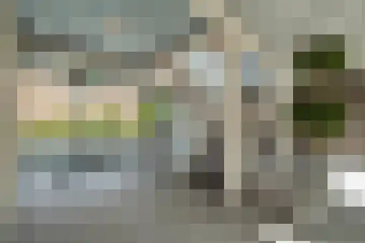 Kreekwaard 17 Alkmaar thumbnail 6